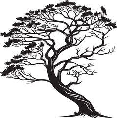 Cypress tree silhouette vector printable design