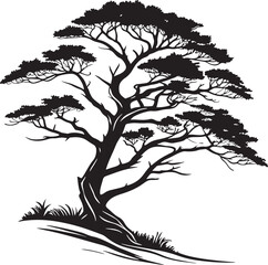 Cypress tree silhouette vector printable design