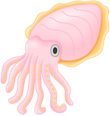 갑오징어 (cuttlefish)