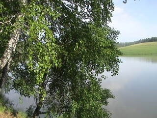 Serene lakeside view with green foliage and clear sky reflections