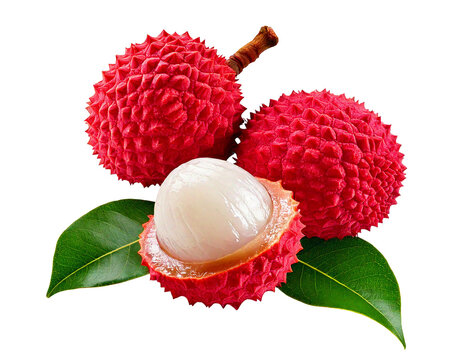 lychee isolated on white