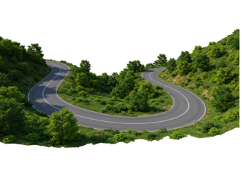 Winding Forest Road isolated on transparent background