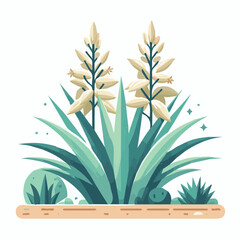 nature, background, plant, yucca, garden, green, flora, flower, botany, leaf, tree, white, floral, illustration, isolated, botanical, foliage, desert, natural, tropical, beautiful, design, outdoor, su