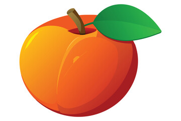 peach healthy fruit vector on white