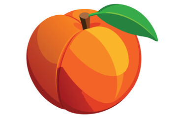 peach healthy fruit vector on white