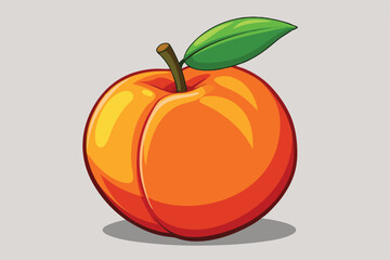 peach healthy fruit vector on white