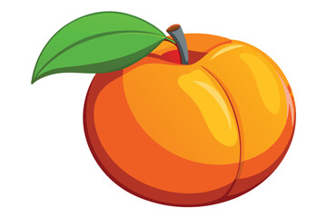 peach healthy fruit vector on white