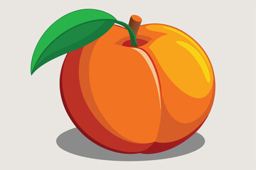 peach healthy fruit vector on white