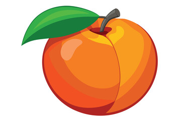 peach healthy fruit vector on white