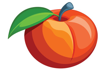 peach healthy fruit vector on white
