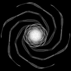 spider on a white background