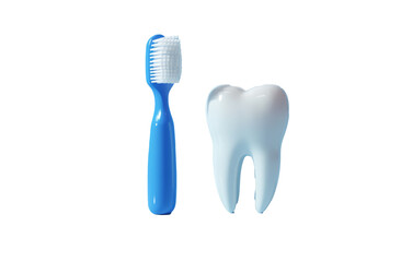 Toothbrush and Tooth Model Promoting Oral Hygiene