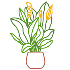 Potted peace lily sketch. Vector indoor flower in a pot. Doodle color illustration of a plant