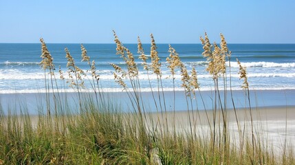 Coastal beach scene with grasses.  Gentle waves meet the shore.  A serene beach day