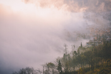Dense fog covering the village and the forest during the sunrise