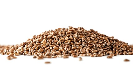 Obraz premium A large pile of unprocessed whole grain wheat kernels sits on a pristine white background ready for milling or baking.