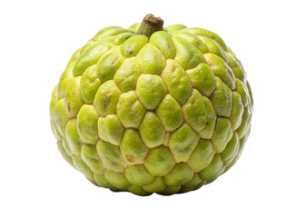 Fototapeta premium Anona isolated on white background