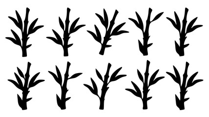 Fototapeta premium set of bamboo branch silhouette vector on white background