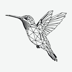 Hummingbird with Flower Illustration Vector Design