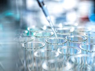 Pipetting sample into test tube