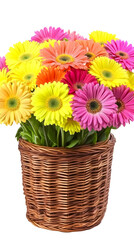 Gerbera Flowers In Wicker Basket Isolated On Transparent Background Photo
