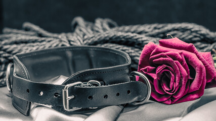 bdsm still life, black human collar, scarlet rose, hank of black rope for bondage shibari on a gray sheet on a black background