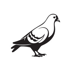 vector illustration of a dove