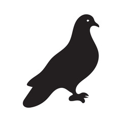 vector silhouette of a pigeon
