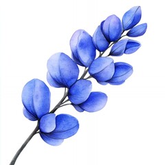 A watercolor painting of a blue eucalyptus branch with rounded leaves on a white background art piece
