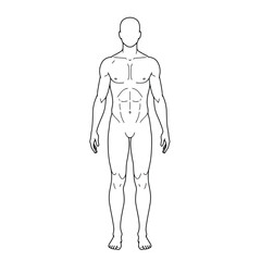 Human body internal organs circulatory nervous and skeletal systems anatomy and physiology flat educative vector illustration