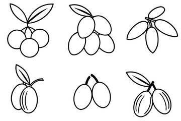 olive line art artistic interpretation of olive branches