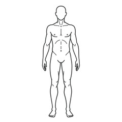 Human body internal organs circulatory nervous and skeletal systems anatomy and physiology flat educative vector illustration