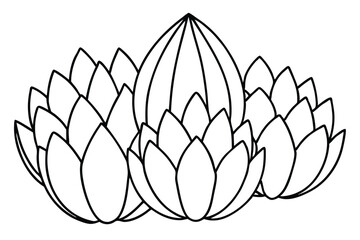 pandanus fruit line art detailed vector design artwork