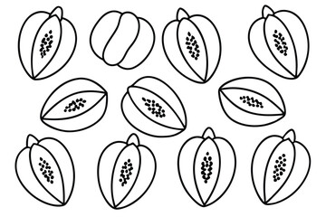 papaya line art creative artwork for tropical themes