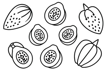 papaya line art drawing for contemporary home art