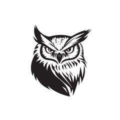 Vector illustration of an owl with a unique and characterful look isolated on white background.