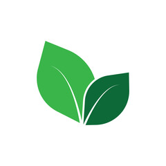 green leaf logo icon illustration flat