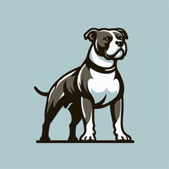 pit bull dog vector illustration 