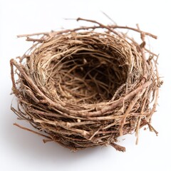 Obraz premium Birds nest empty twig isolated isolated on white background