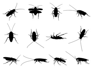 Set of Cockroach Silhouette in various poses isolated on white background