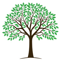 A tree with white background. 
