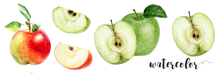 Watercolor Realistic Green and Red Apple with Slices Illustration, Fresh Juicy Fruits Collection