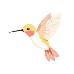 Simplified Beautiful Hummingbird Illustration