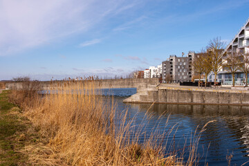 Waterfront residential zone in Ørestad, Copenhagen with native vegetation and sustainable design. Integration of ecological transition and residential calm.