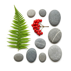 Zen Garden Still Life: A serene arrangement of smooth stones, vibrant red berries, and delicate fern leaves, capturing the essence of natural tranquility and balance.