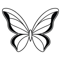 butterfly on white background