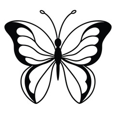 black and white butterfly
