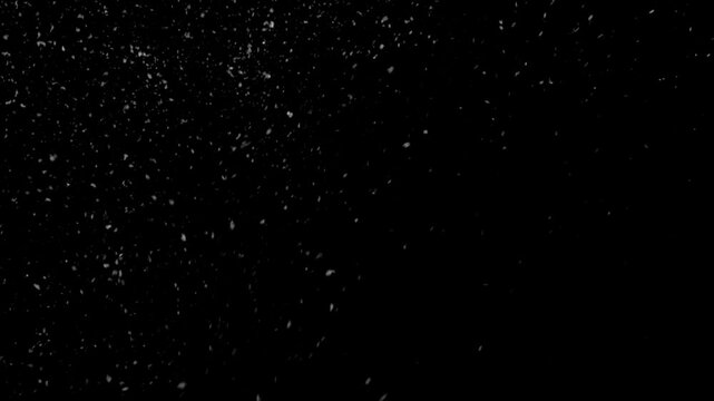 Heavy snowfall: Thick, swirling snowflakes blanket the ground, reducing visibility, muffling sounds, and creating a serene, cold, and isolating atmosphere.