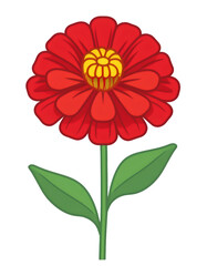 Vibrant red zinnia flower blooming, green leaves spreading, isolated on transparent backdrop