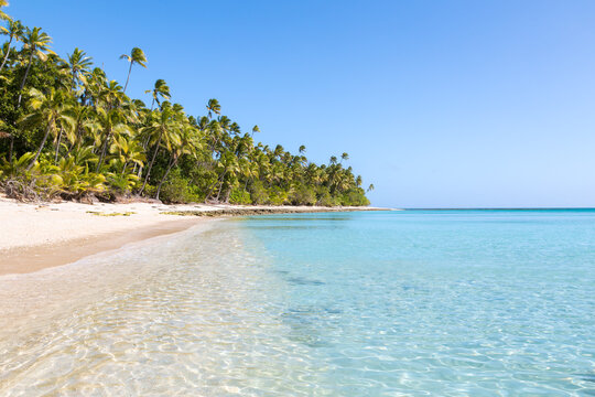 Beautiful exotic sandy beach with palm trees, Fiji